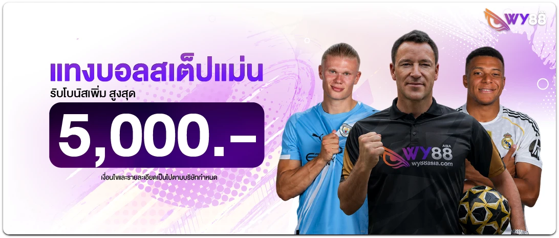 ทางเข้า wy88